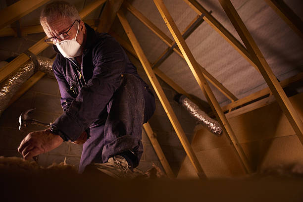 Best Insulation Maintenance and Repair in Cave Springs, AR